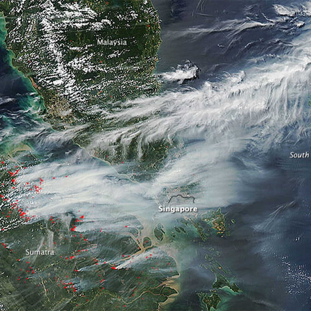 หมอกที่กระจายไปกับลม
