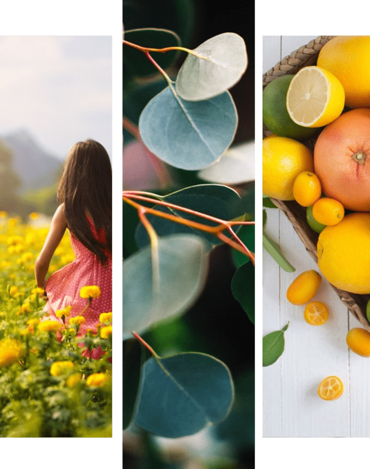 การจับคู่อารมณ์