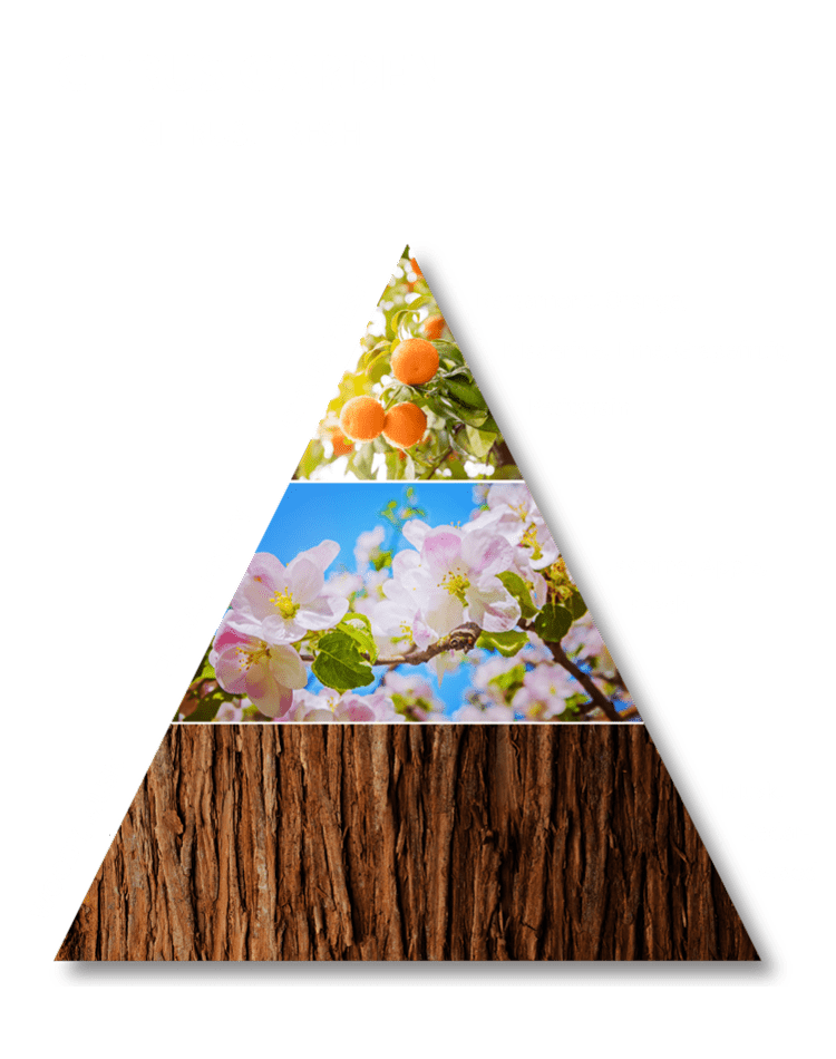 การจับคู่อารมณ์