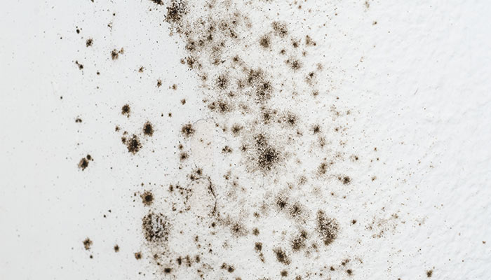 สารก่อภูมิแพ้ที่บ้าน - อากาศ